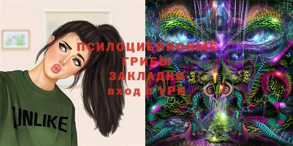 ешки Абаза