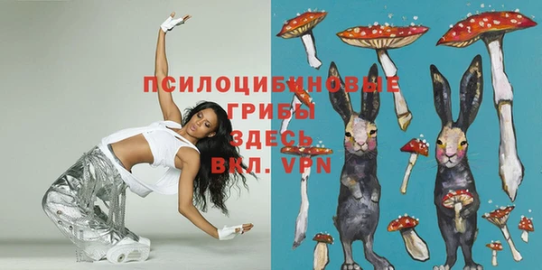 ешки Абаза